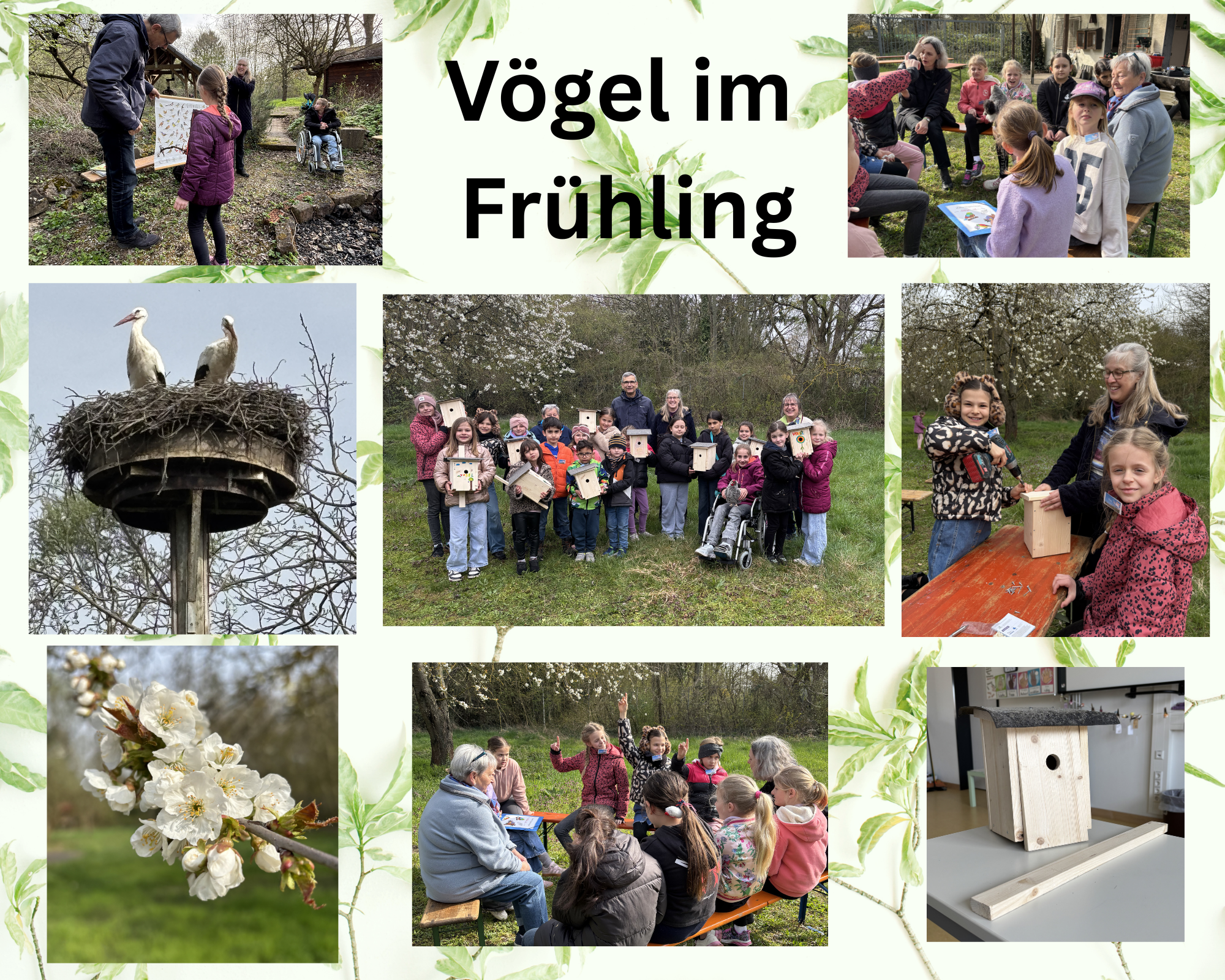 Vögel im Frühling Collage - 1